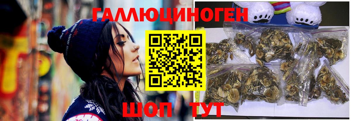 Псилоцибиновые грибы GOLDEN TEACHER  Галлюциногенные грибы прущие грибы  Вход с VPN  Новодвинск 