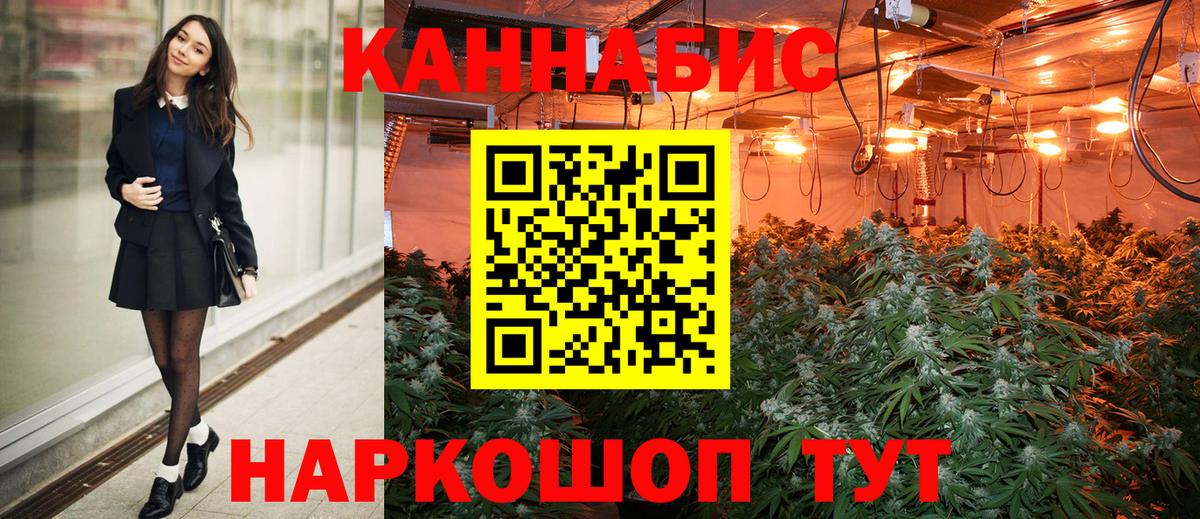 Бошки марихуана SATIVA & INDICA  Вход с VPN  Новодвинск  МАРИХУАНА планчик  Бошки марихуана гибрид 